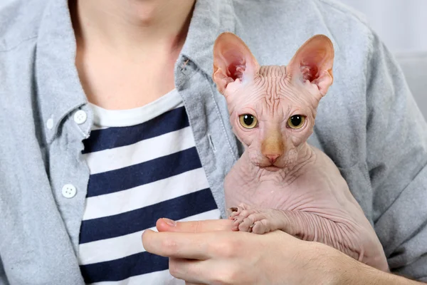 Jonge man met een kat op lichte kamer achtergrond — Stockfoto