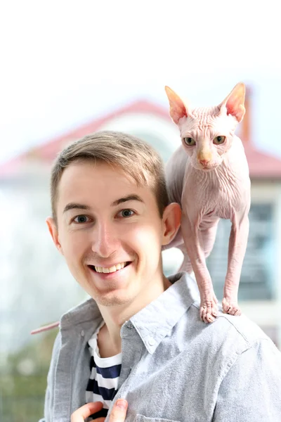 Gatto sfinge seduta su giovane uomo spalle — Foto Stock