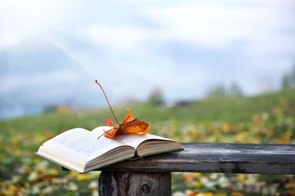 Open book on wooden bench — Stock Photo, Image