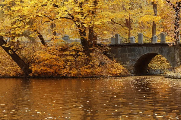 Güz Parkı 'ndaki göl — Stok fotoğraf