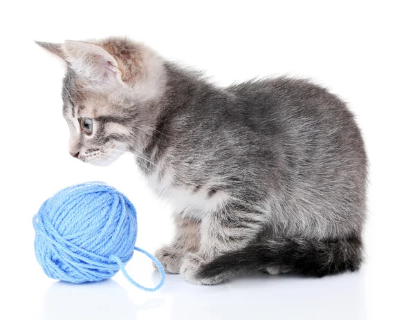 Weinig grijs kitten met streng van wol — Stockfoto