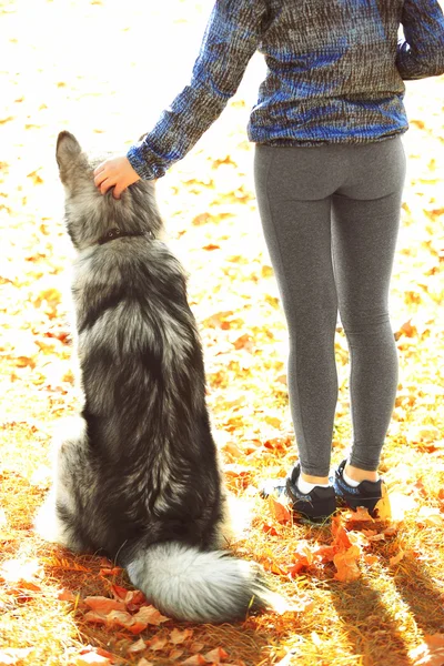 Jovem mulher com seu cão no parque — Fotografia de Stock