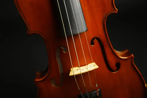 Violín sobre fondo oscuro —  Fotos de Stock