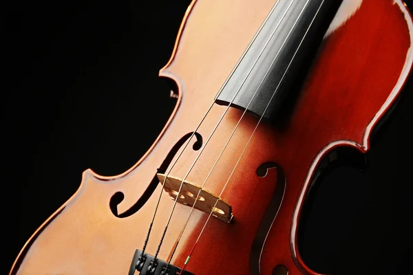 Violino su sfondo scuro — Foto Stock