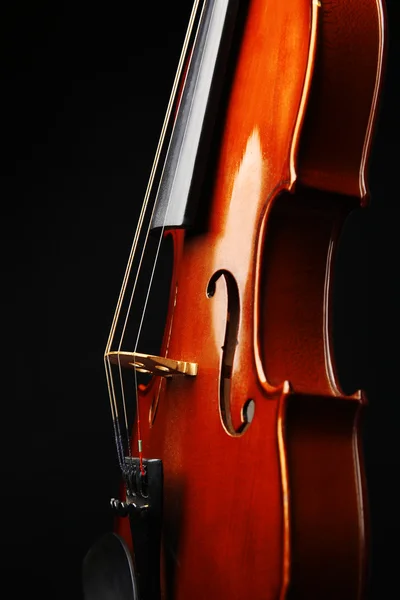 Скрипка на темному тлі — стокове фото
