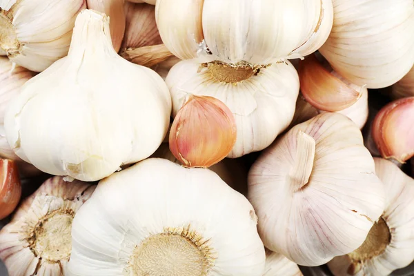 White garlic background — Stock Photo, Image