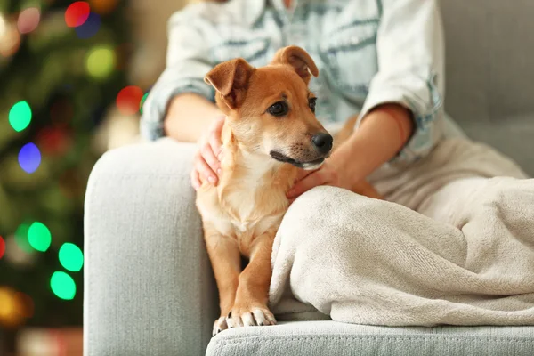 Femme tenant un petit chien — Photo