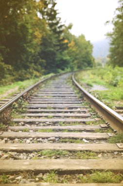 Demiryolu yeşil ağaçların üzerinden izlemek