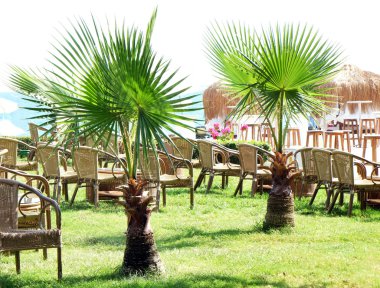 Boş sandalye açık havada 