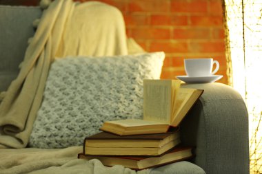 Kitaplar ile rahat kanepe 