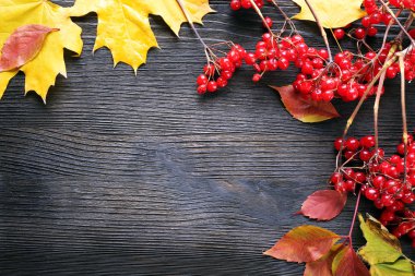 sonbahar yaprakları arka plan