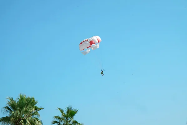 Fallschirmspringer Bei Gutem Wetter Hoch Himmel — Stockfoto