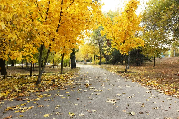 Schöner Herbstpark — Stockfoto