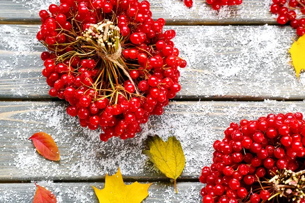 Bunches de guelder aumentou — Fotografia de Stock