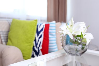 Kanepe üzerinde renkli yastıklar