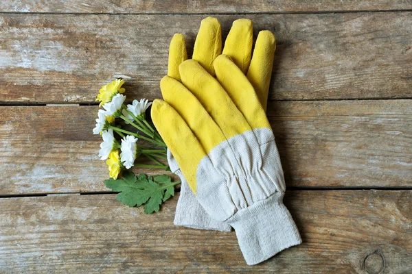 Empfindliche Blüte und gelbe Handschuhe — Stockfoto