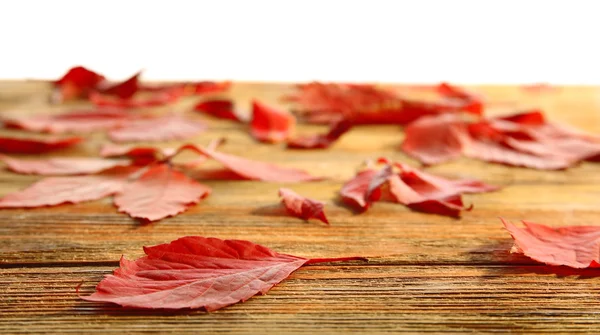 Feuilles d'automne rouges sur table en bois — Photo