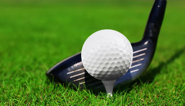Golf club and ball — Stock Photo, Image