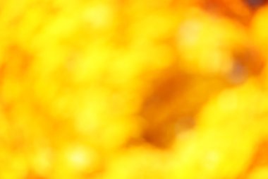 Bulanık altın sonbahar yaprağı, yakın çekim