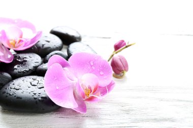 Orkide ve çakıl güzel kompozisyon