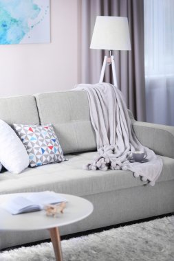 Kanepe oturma odasında