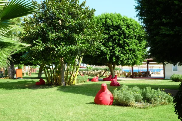 Lugar Descanso Aire Libre Con Bolsa Frijoles Rojos — Foto de Stock