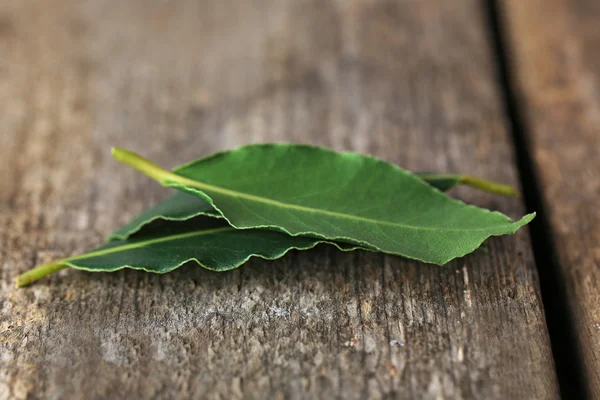 Fresh bay leaves on vintage wooden table — Stock Photo, Image