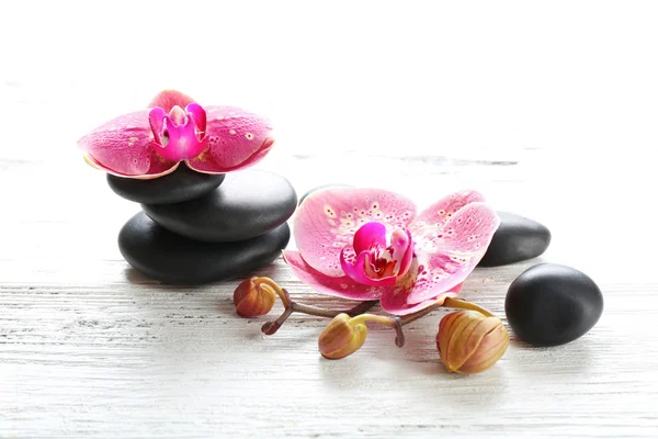 Beautiful composition of orchid and pebbles — Stock Photo, Image