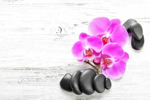 Vackra sammansättning av orkidé och grus — Stockfoto
