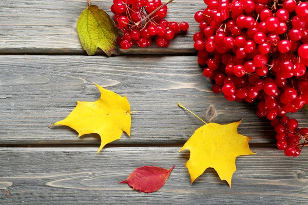 Guelder-rose e foglie autunnali su sfondo di legno — Foto Stock