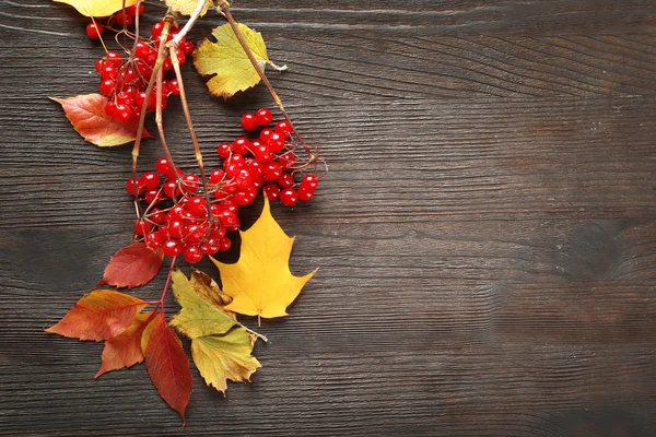 Sammansättningen av guelder-rose och hösten lämnar på trä bakgrund — Stockfoto