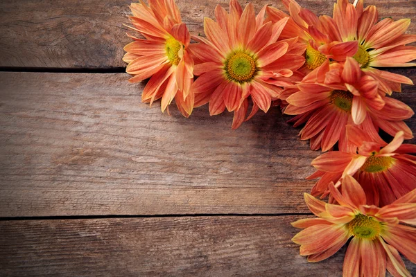 Piękne kwiaty na drewniane tła, miejsce — Zdjęcie stockowe