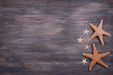 kabukları kahverengi ahşap zemin üzerinde