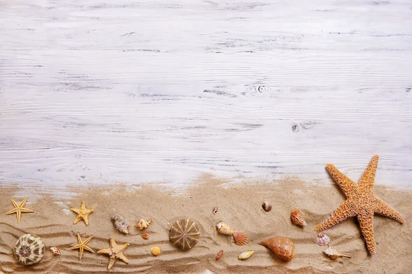 Conchas de mar en mesa ligera — Foto de Stock
