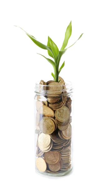 Plant groeit in munten — Stockfoto