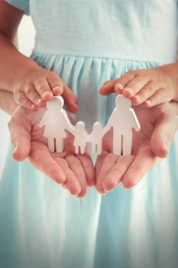 Birleşik aile kavramı