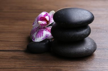 Orkide ile siyah taş 