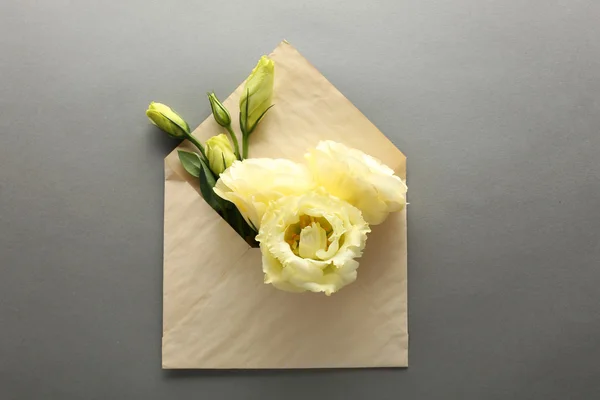 White eustoma in envelope on grey background — Stock Photo, Image