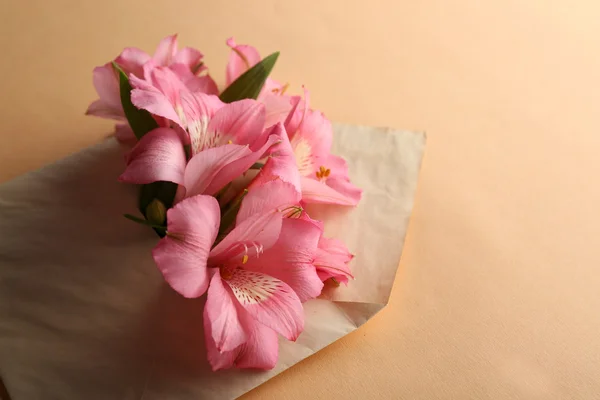 Pink alstroemeria in envelope on beige background — Stock Photo, Image