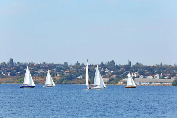 Sailing yachts regatta — Stockfoto