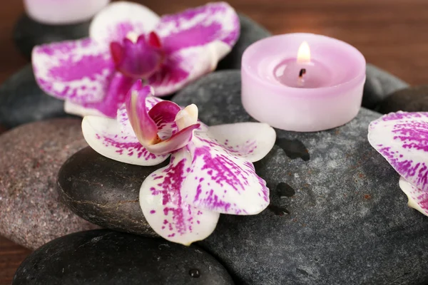 Spa stenen en orchideeën — Stockfoto