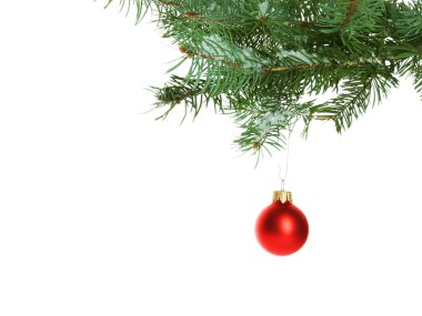 Kırmızı Noel biblo üzerine beyaz izole bir köknar dalı