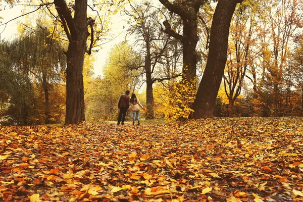 在公园里散步的夫妇 — 图库照片