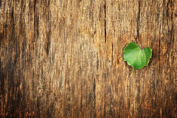 Leaf on wooden background — Stock Photo, Image