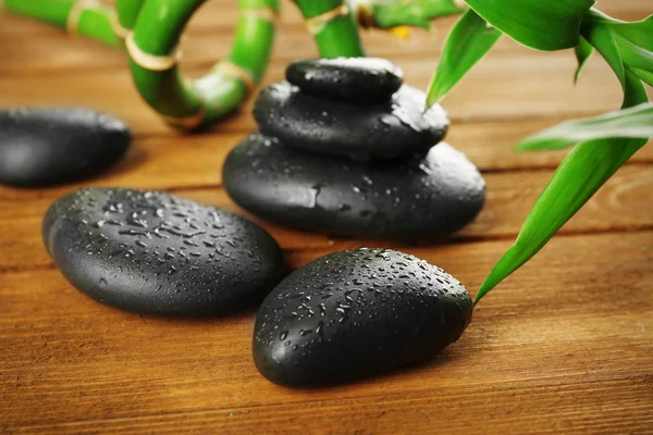 Spa stones and bamboo branch — Stock Photo, Image