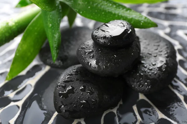 Spa stones and bamboo branch — Stock Photo, Image