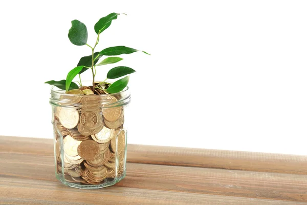 Plant growing in bowl of coins — Stock Photo, Image