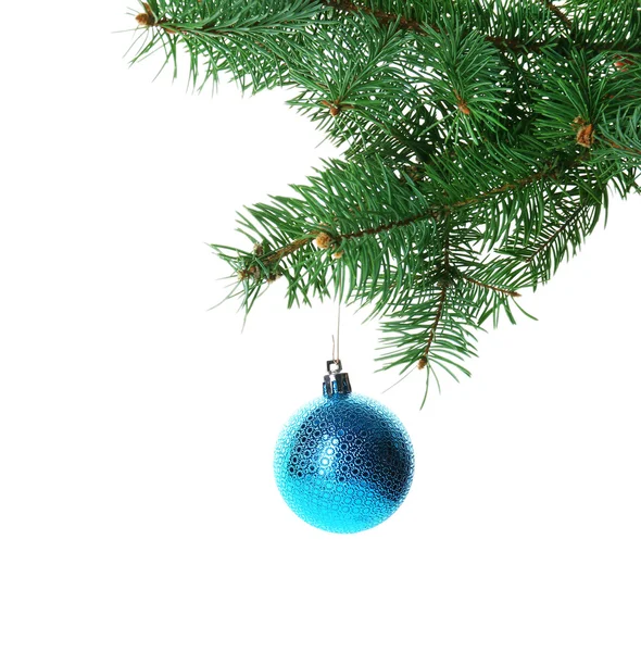 Boule bleue de Noël sur une branche de sapin, isolée sur blanc — Photo