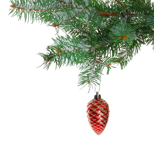 Brinquedo de Natal em um ramo de abeto, isolado em branco — Fotografia de Stock