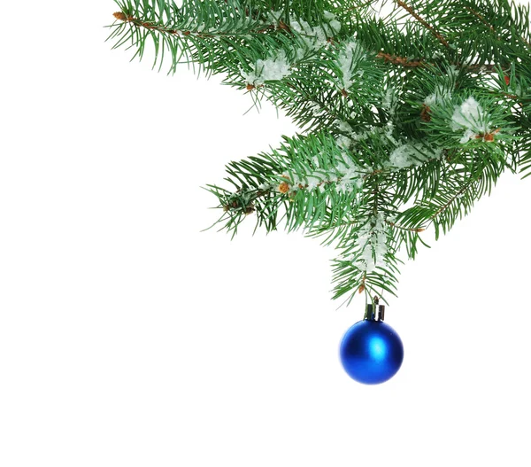 Blauwe Kerstbal op een tak van de zilverspar, geïsoleerd op wit — Stockfoto